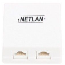 Сетевая розетка NETLAN EC-UWO-2-UD2-WT-10