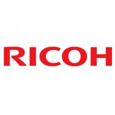 Инструкция пользователя  Ricoh OI2501RU