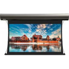 Экран Lumien Cinema Tensioned Control 160x244 Grey