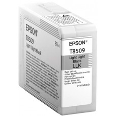 Картридж Epson C13T850900