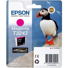 Картридж Epson C13T32434010