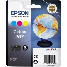 Картридж Epson C13T26704010