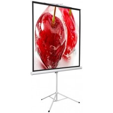 Экран на штативе Digis Kontur-D 206x209см MW