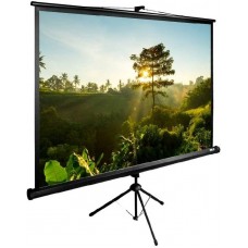 Экран напольный Cactus TriExpert 200x200см (CS-PSTE-200Х200-BK)