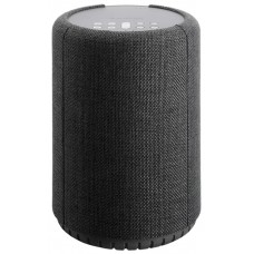 Портативная акустика Audio Pro A10 Dark Grey