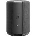 Портативная акустика Audio Pro A10 Dark Grey