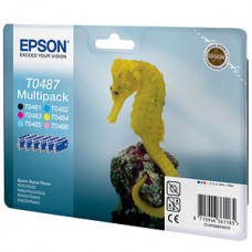 Картридж Epson C13T04874010